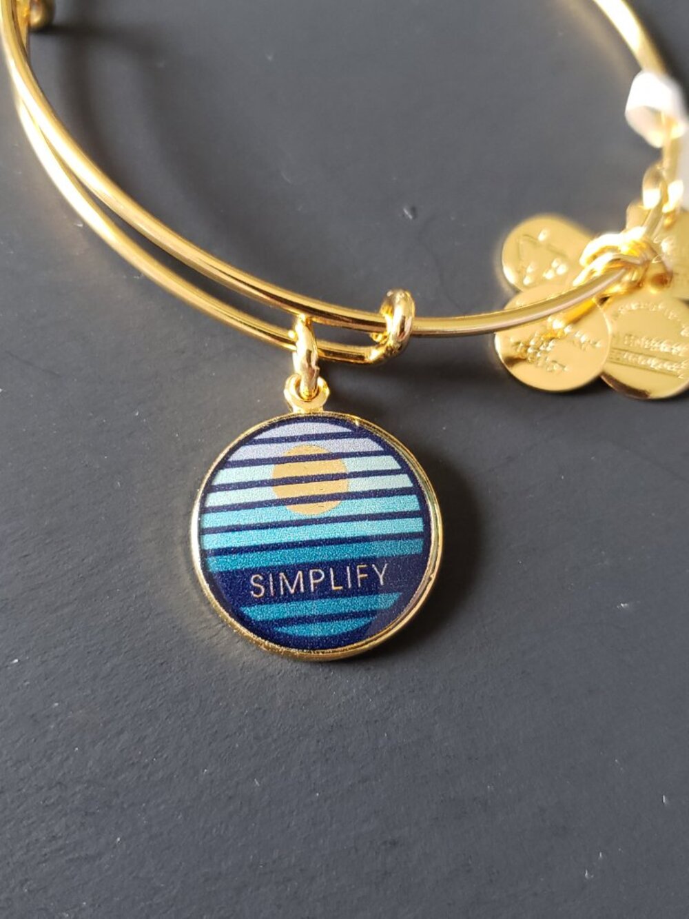 Alex and Ani Simplify Bracelet Bangle 697